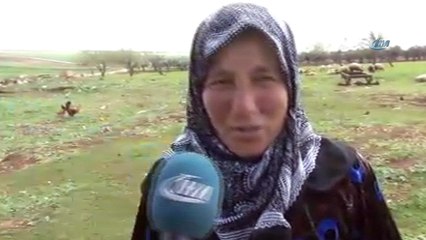 - Afrin halkı: 'Keşke 5 yıl önce gelseydiniz'- Afrin’e dönüşler hızlandı, girişe güvenlik gerekçesiyle izin yok