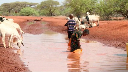 More than half of Kenya population lacks clean water access