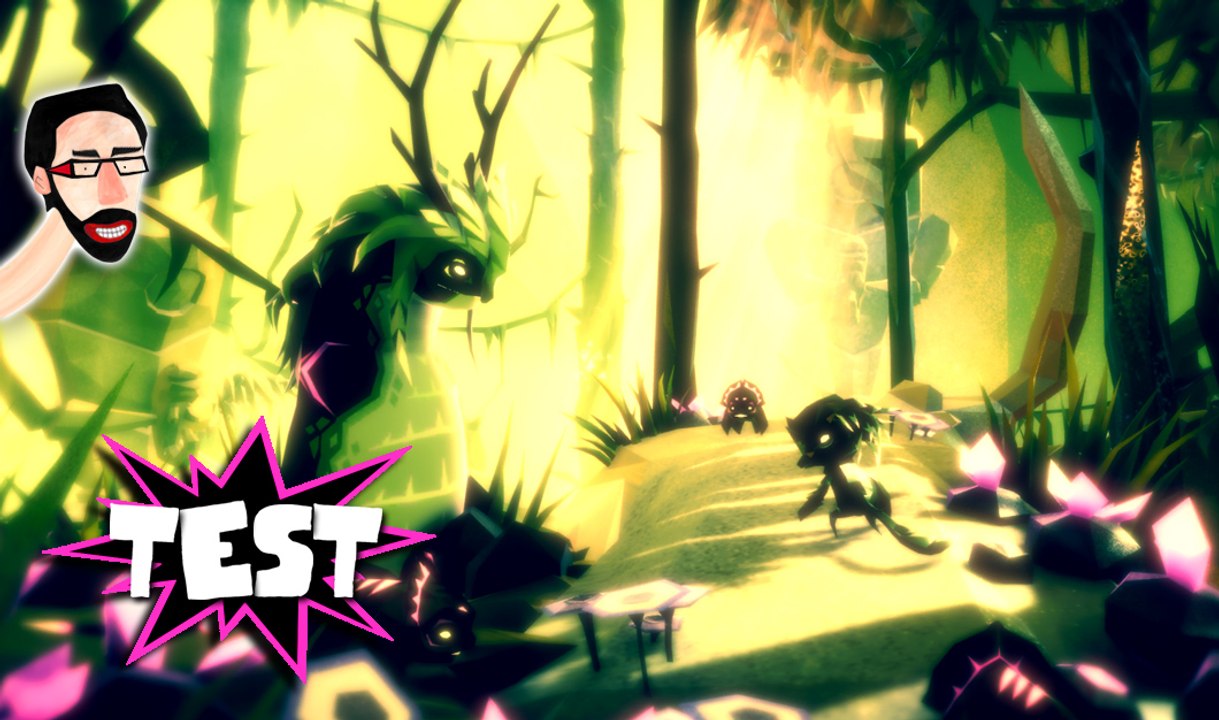 Test 10 ► FE, une aventure singulière et poétique