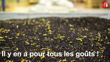 Le goût du thé, un savoir-faire Made in France