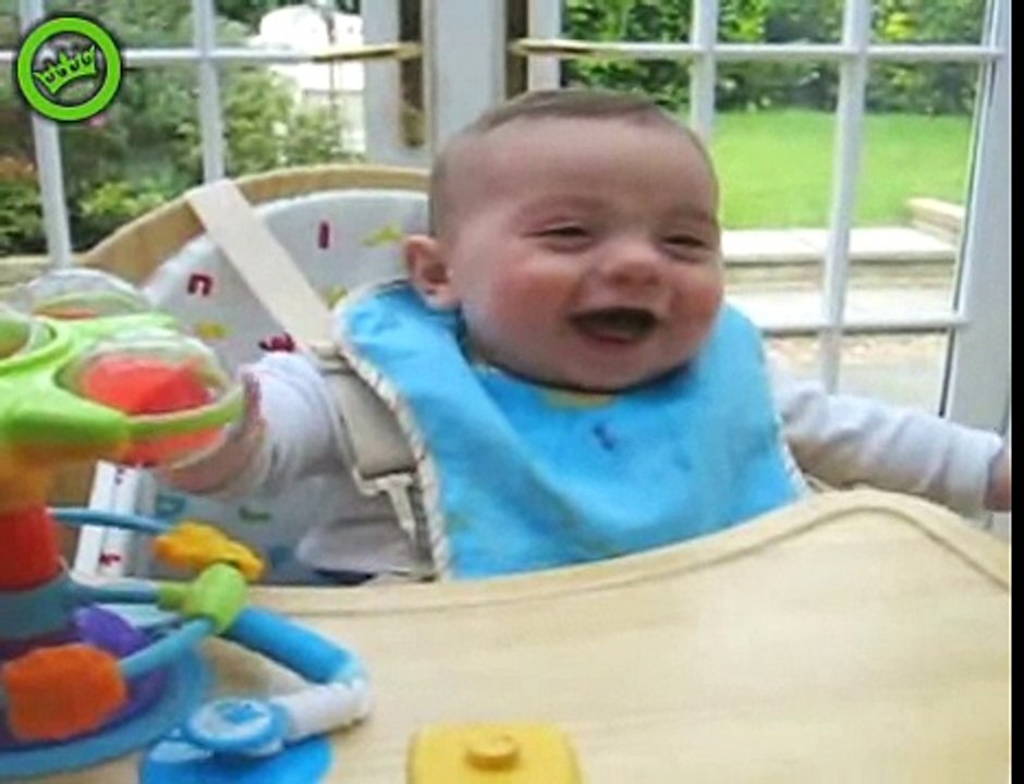 The Funniest And Most Stupid Laughs Ever