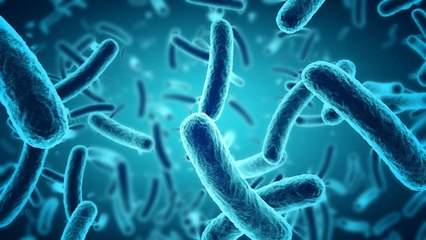 Staying Clean & Healthy: Killing 3 of the Biggest Germ Myths