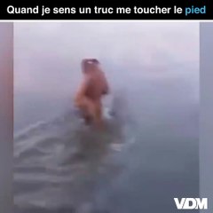 Vous n’avez pas senti quelque chose ?