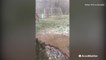Heavy hail sweeps through Mississippi town