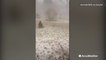 Thick hail litters ground, looks like winter storm
