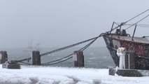Snow squalls whip Provincetown, Mass as third nor'easter tears through New England