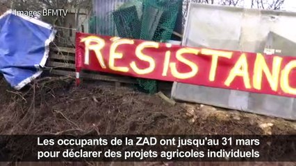 Sébastien Lecornu à Notre-Dame-des-Landes