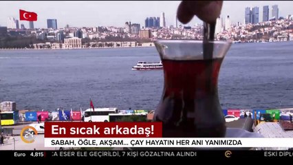 Çay rekoru Türkiye'de