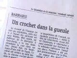 Le triste sort des chiens de la Réunion