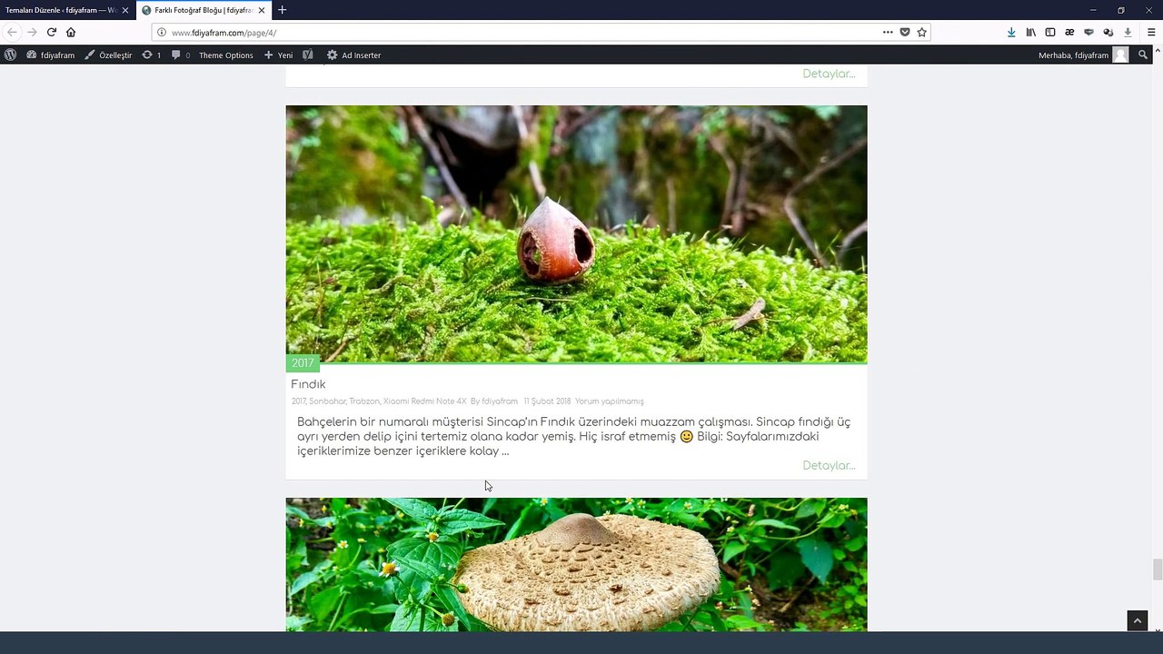 Wordpress Yazı Kısaltma ve Sonuna Üç Nokta Koyma