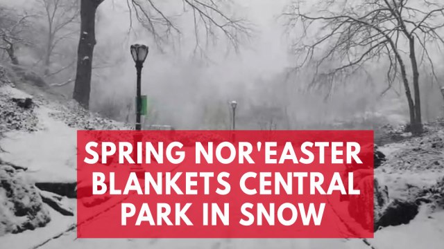 Spring Nor'easter blankets Central Park in snow