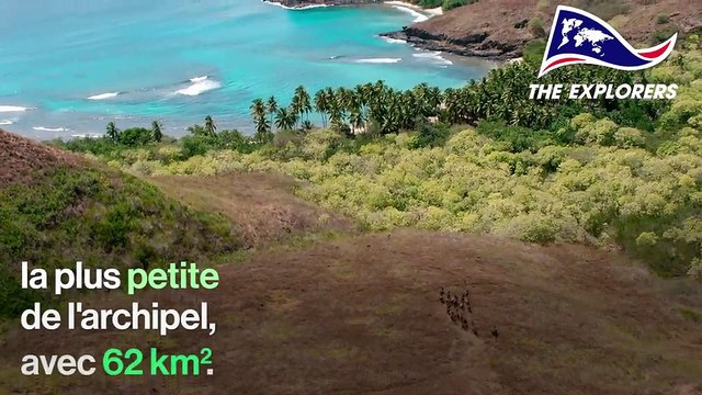 Les chevaux des Marquises, de nouveaux arrivants pleinement intégrés