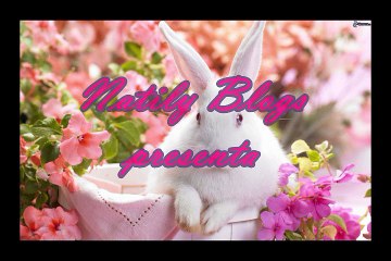 Ideas Manualidades Con Globos