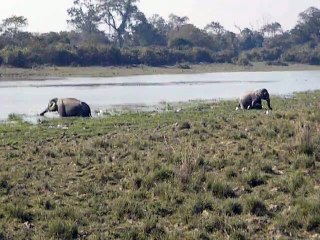 Kaziranga National Park - UNESCO World Heritage Centre