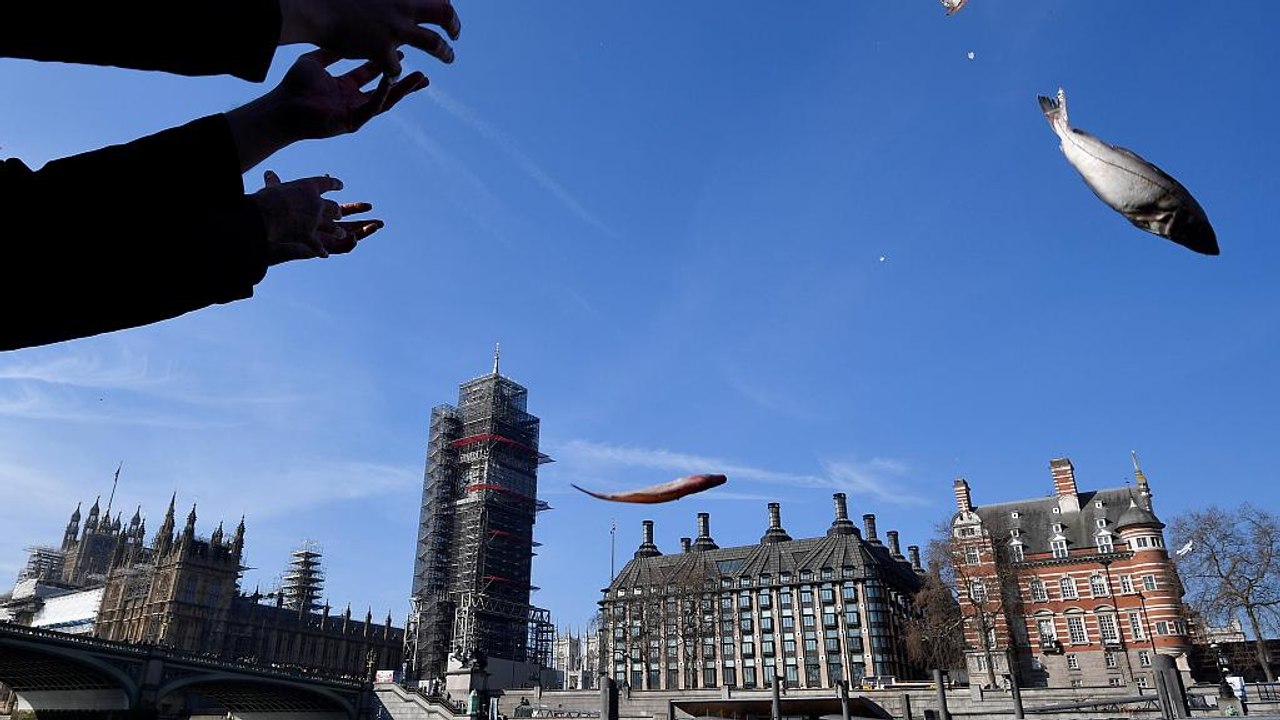 Brexit-Befürworter gegen verlängerte EU-Fangquoten