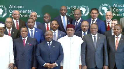 Nigeria and South Africa opt out of Africa free-trade deal