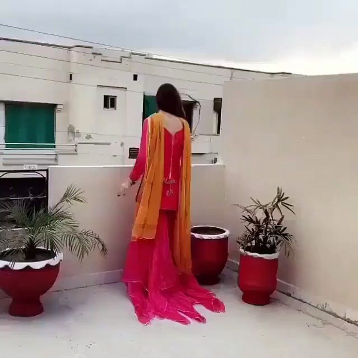 paki anchor dancing
