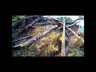 Cнасти для ловли в траве и коряжнике