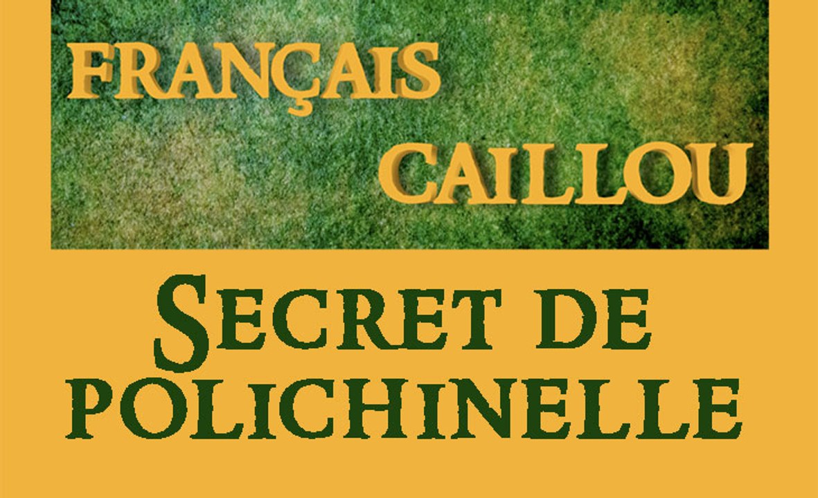 Français caillou/ Définition du jour: "Secret de polichinelle"