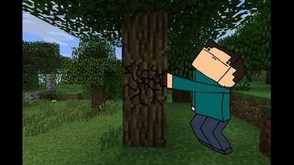 Minecraft in 15 seconds