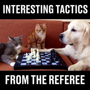 Une drole de technique pour gagner au échecs...