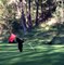 Vous avez déjà vu un ours qui fait du pole dance sur un green de golf ???