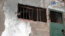 Abren una investigación al hallar cinco perros encerrados en una cueva en La Palma