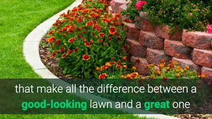 The Benefits of Edging a Lawn