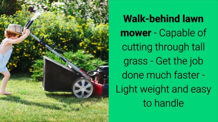 The most common types of lawn mowers in detail