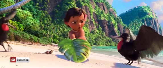 Harry Styles - Ever Since New York × Kiwi × Carolina (Music Video)