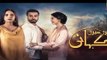 Teri Meri Kahani Episode #9 HUM TV Drama 21 March 2018 - dailymotion