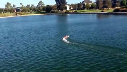 RC BOAT  RACE