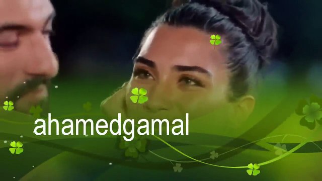 اغنية رومانسية خدت قلبى عمر واليف_