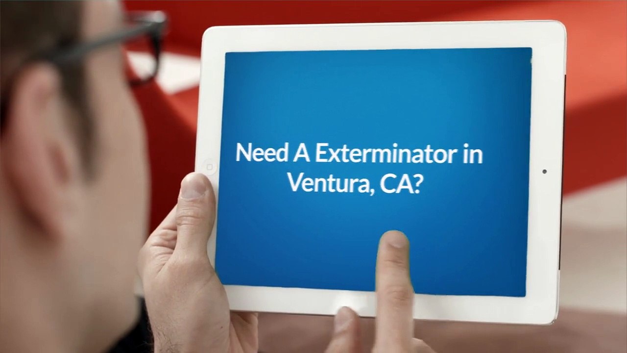 Insight Pest Management - Exterminator in Ventura, CA