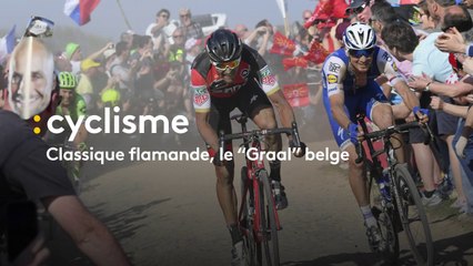 Cyclisme : Classique flamande, le “Graal” belge