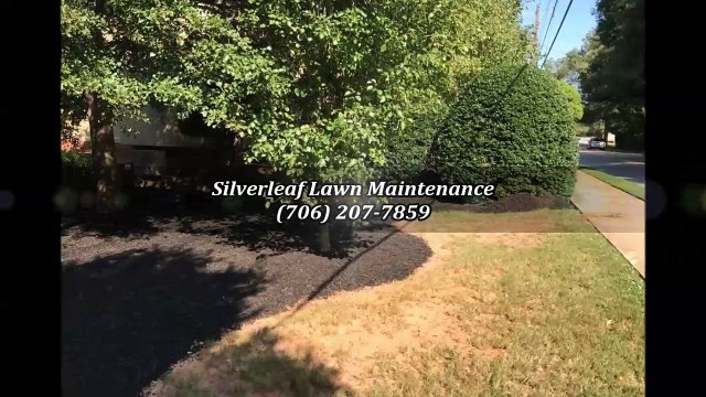 Silverleaf Lawn Maintenance - (706) 207-7859