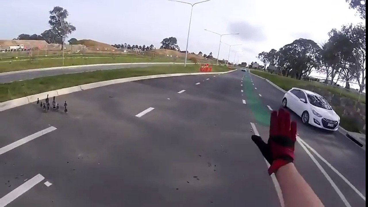 S'arrêter pour faire traverser des canards au milieu de la route !