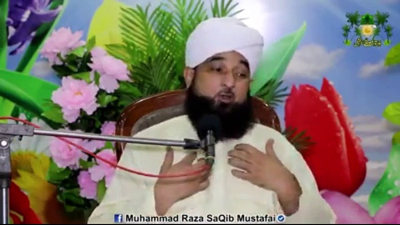 Allama Saqib Raza (51)