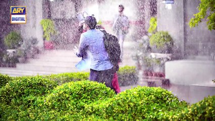 Aisi hai Tanhai  - Last Episode - 21st March 2018 - ARY Digital Drama