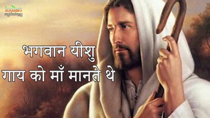 Bible Study   क्या ईसाई धर्म करता था गाय की पूजा    Indian Rituals भारतीय मान्यताएं