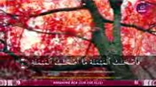Surat Al Waqi’ah – Ustadz Zain Abu Kautsar