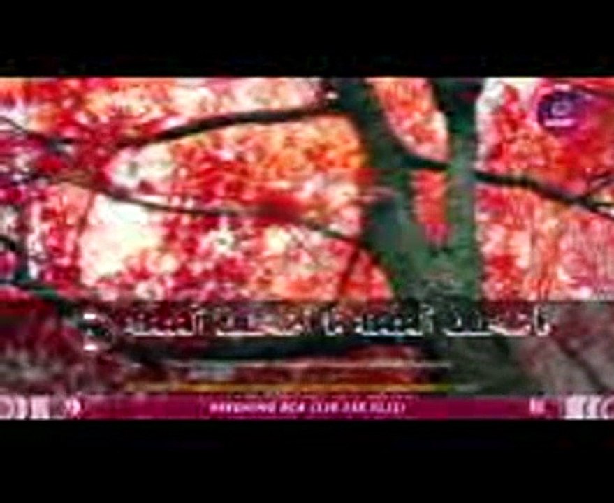 Surat Al Waqi’ah – Ustadz Zain Abu Kautsar