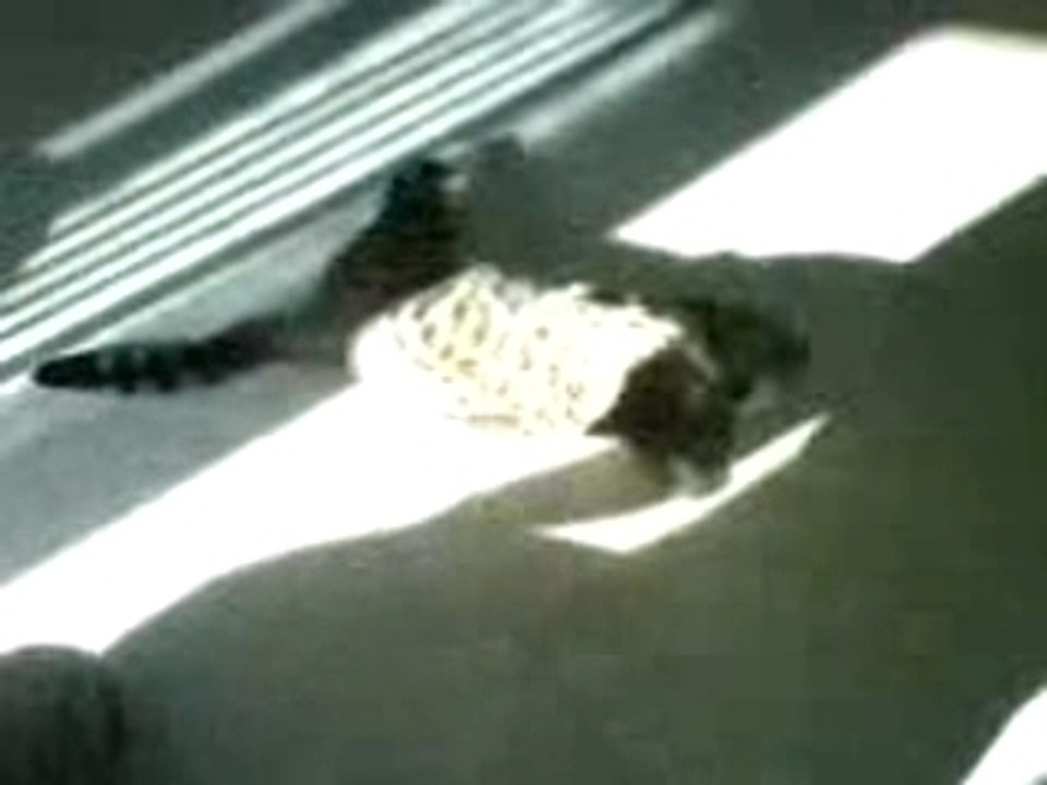 Bender fait du breakdance