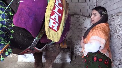 Bodrum'un kadın devecileri - MUĞLA