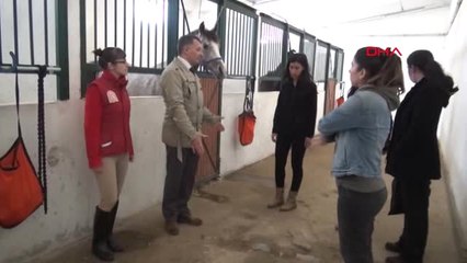 Eskişehir'de Atlı Terapi Antrenörleri Yetiştirilecek