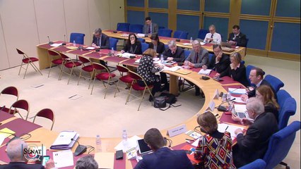 Audition de Mme Tatiana Kastouéva-Jean et M. Thomas Gomard, de l'IFRI