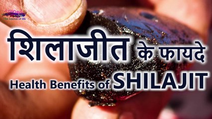 Shilajit Benefits in Hindi   शिलाजीत के फायदे   Indian Ayurveda