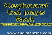 Keyboard Cat plays rock guitar (recorded with the RME Babyface)