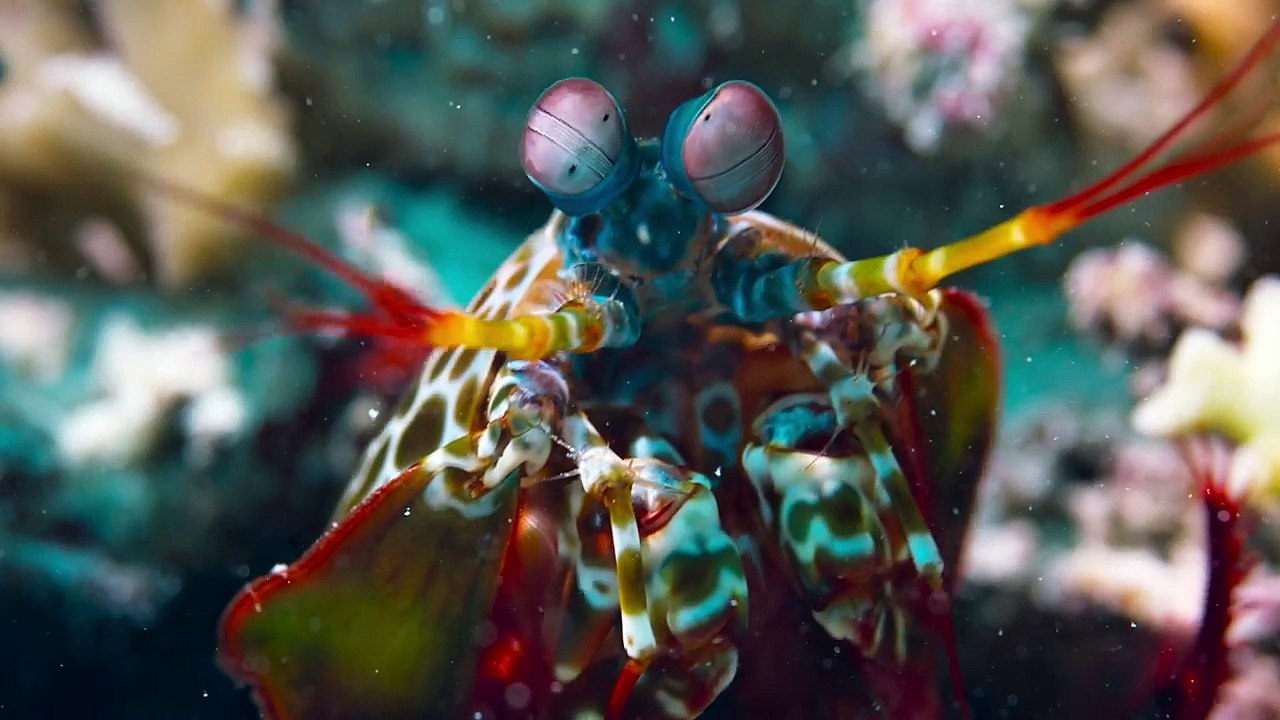 Blue - Reportage _ Dans les coulisses du film [720p]