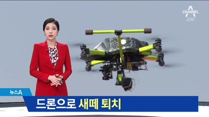 드론으로 새떼 퇴치…‘버드 스트라이크’ 막는다